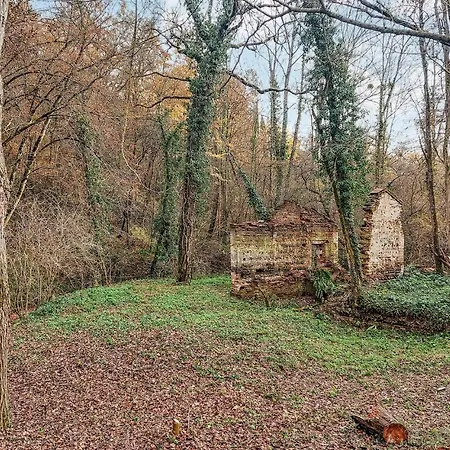 Prázdninový dům Stunning In With Sauna *