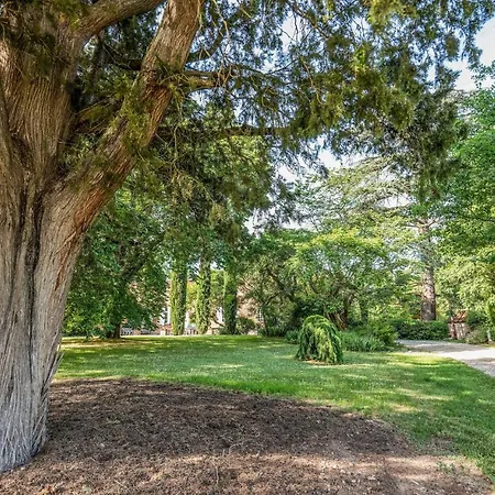 3 Bedroom Awesome In