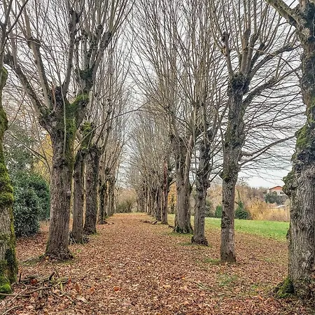 3 Bedroom Awesome In 度假居