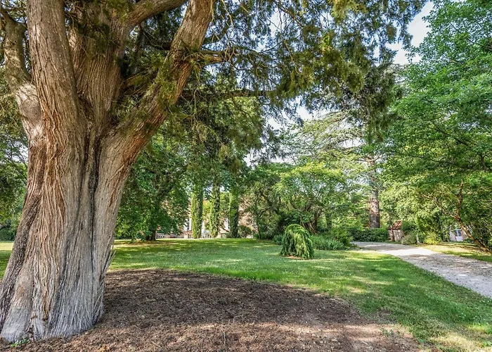 3 Bedroom Awesome In