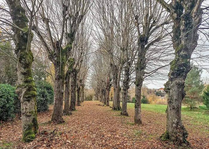 3 Bedroom Awesome In Prázdninový dům